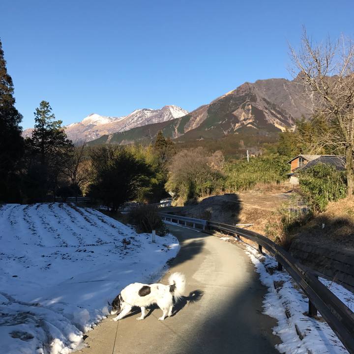 457f97dd ef5f 4b51 ac99 8867c7e2579c