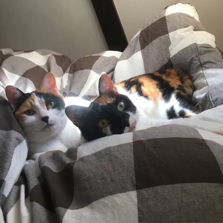 457fa15b c302 4c7b 8dc5 43eb7cbd4ec4