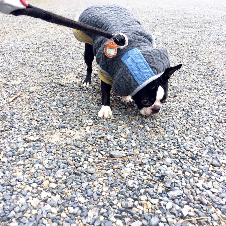 45801e30 07f3 4567 b7e4 fc5dc2098a4d