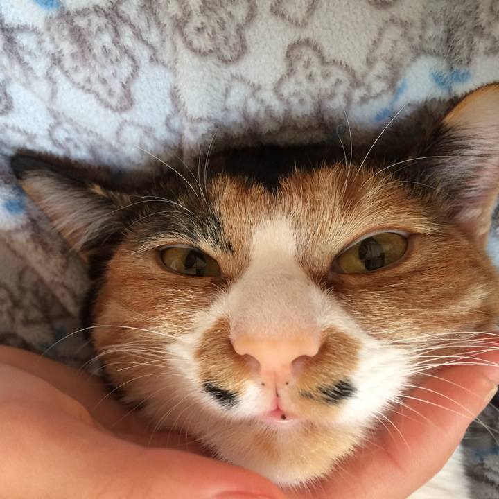 45801ea3 acf7 4867 9446 34a497341bb4