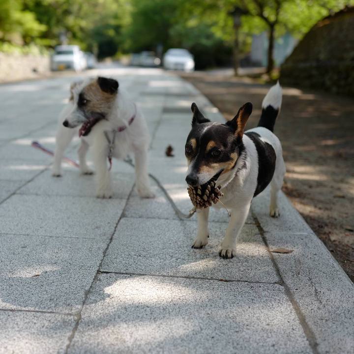 45805f83 4915 4fe4 a4b7 942ced3edb3a