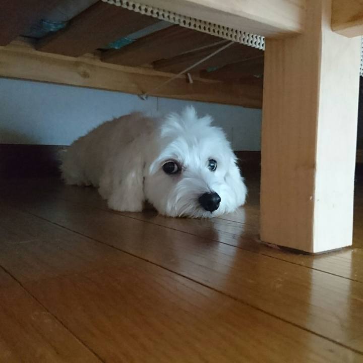 4580f4b4 10d1 4fd6 9fc4 f48acb053c22