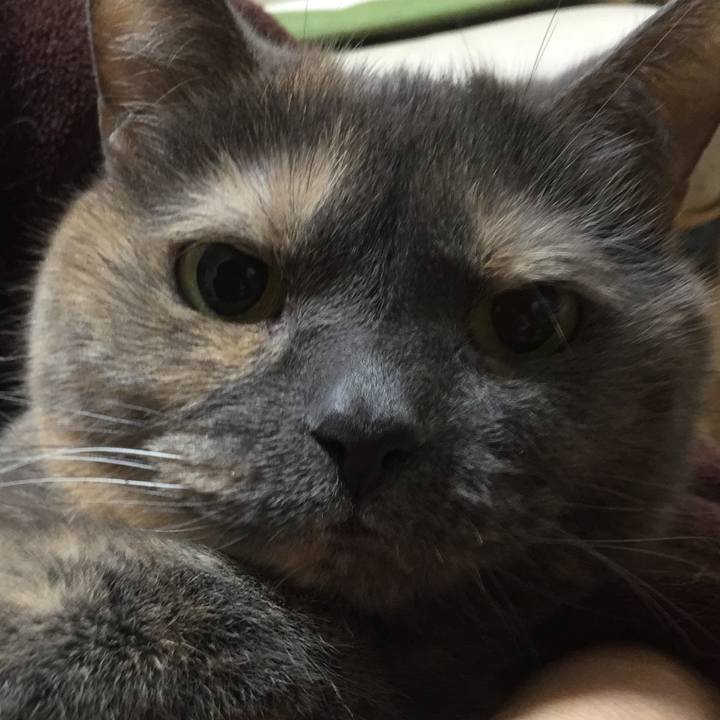 45812786 9121 47de 8227 cf52c8bad170