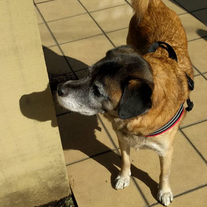 4581a4cb 4b67 41e3 80f1 0ef6a1e2f164