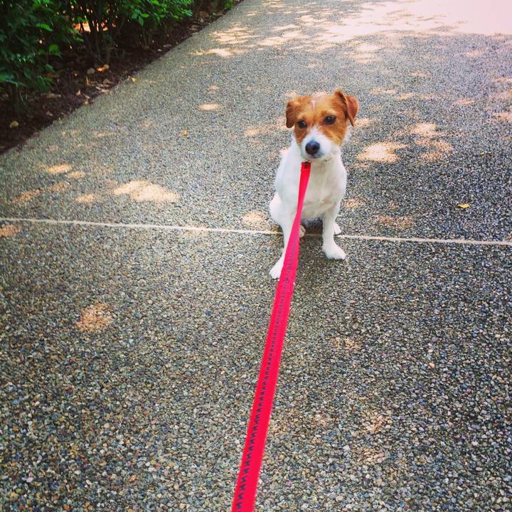 4581beeb f319 4500 ada2 c5e375e203ae