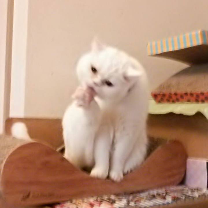 45829537 27b2 4b02 a778 e0fc2615eb1d