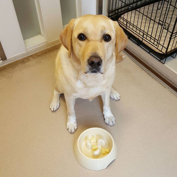 4582b750 9ac6 484f b873 c4bf76360ab2