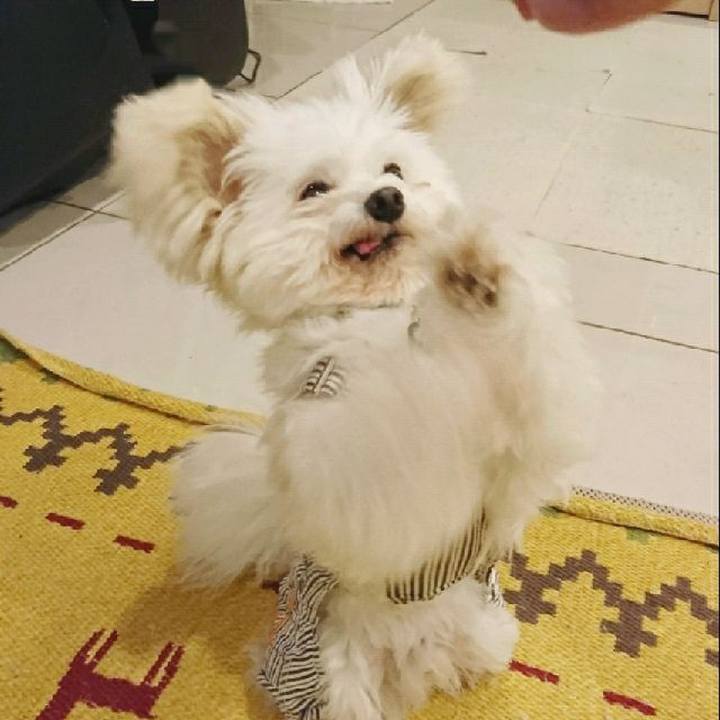 45834c86 12e1 4322 b7fd 9f05d737fc3f