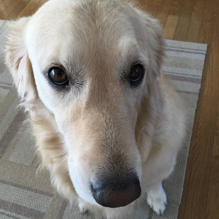 4583b3fb 9271 425f a21a 17fcda5fbbd3