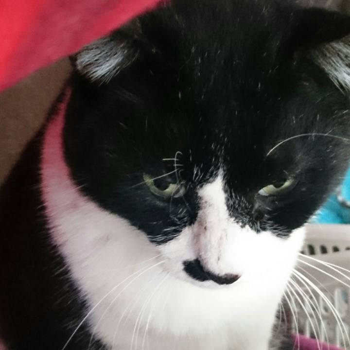 45846138 581a 4f22 896c 66d8a614bbf3