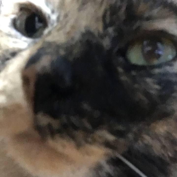 45849f69 a575 4aa4 b97e e76638e7f8b7