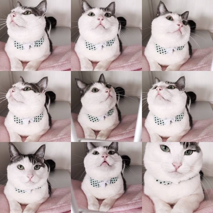 45851a2f b7f3 42a7 928d 3c4e7f023b6b