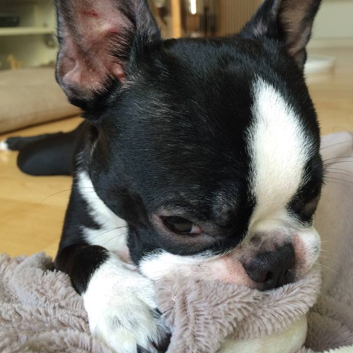 45856da8 7546 40c1 b38f 3578dc17ac27