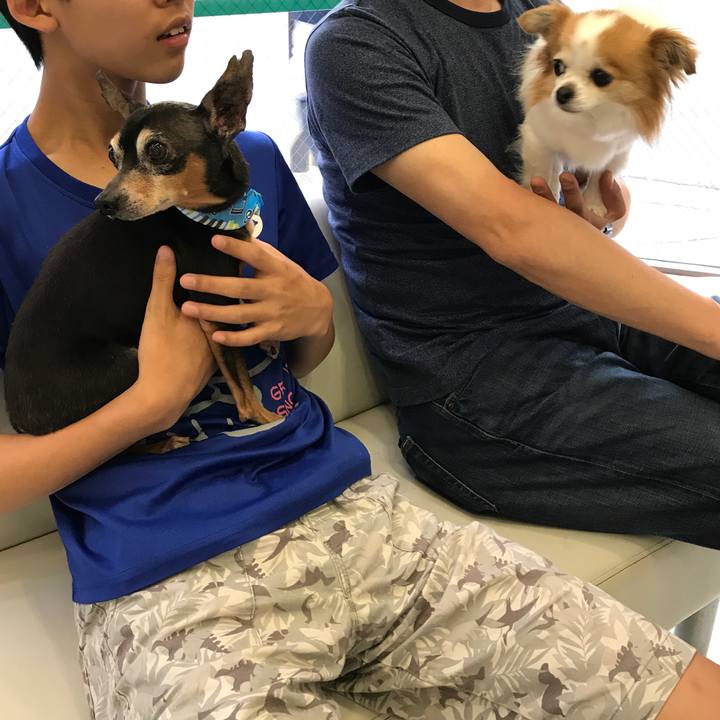 45857577 fdf2 46a9 b5dd b7df62ee8bd0