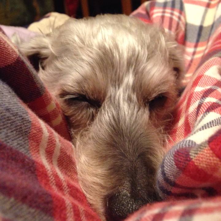 4585c3a1 121c 4130 a045 62194307685c