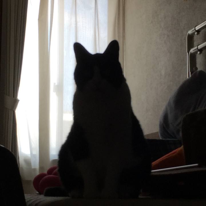 4586b78d e4ac 47d8 b4cc 056a232bea55