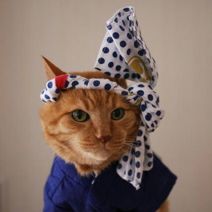 4586d0ba f1d3 45c3 9e32 0d56e9759719