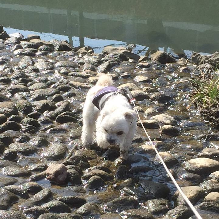 45870a15 1358 4cd2 bfa7 5430741f8a69