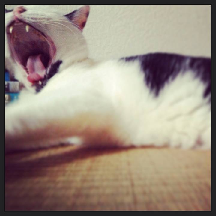 4587f303 e645 4764 a2bf b92403dffd45