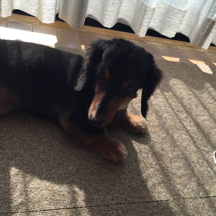 45880320 1727 4614 8c70 4d3adf673219