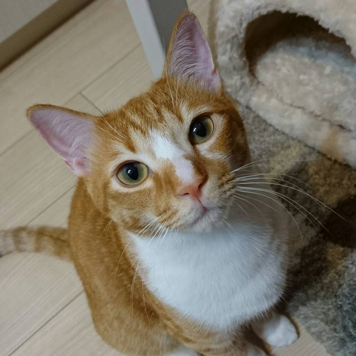 4588550f 9cc8 4206 add7 35014844be99