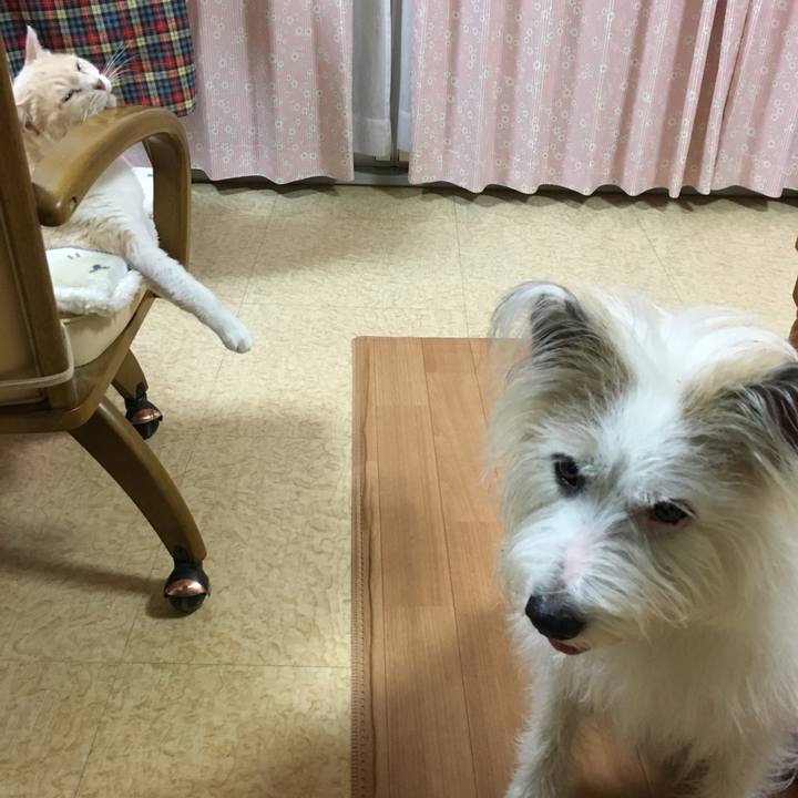 4588a1d7 6bfa 4a8b ad03 bdd3723e5180