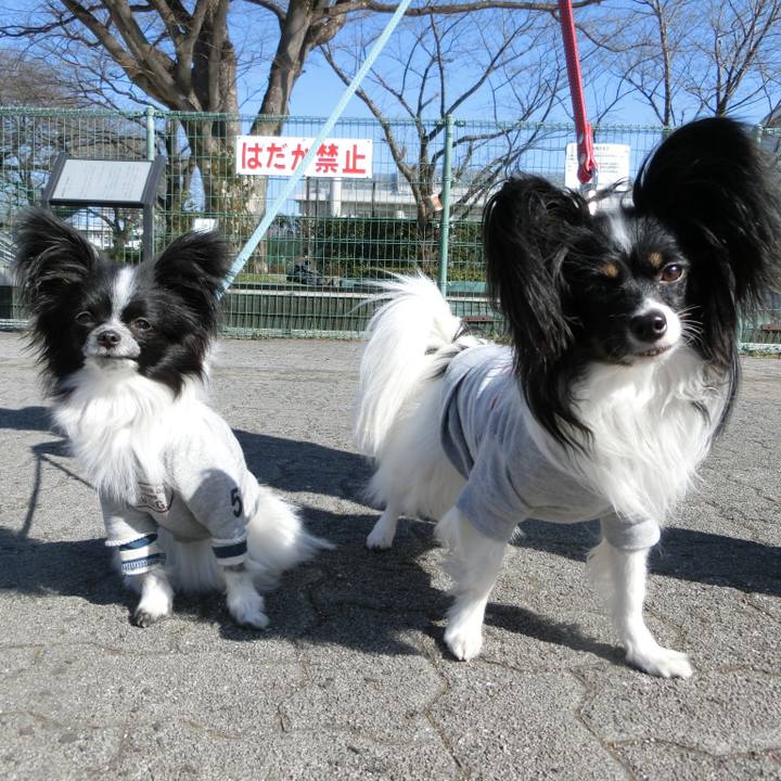 45892371 741f 4b02 be95 85a670bb4927