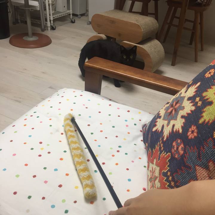 45894f48 2aa7 4dd3 88af 122b5b0dc230