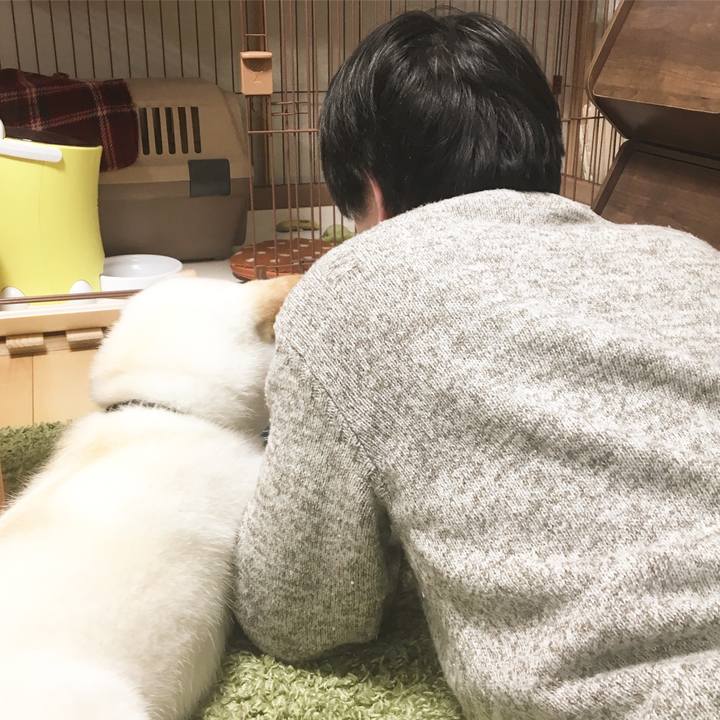 458997ef 6501 4fce 9f7f c07988b3ba22