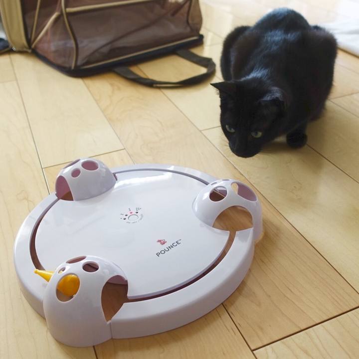 4589cd5f 756c 40d6 8453 d08932dcecfc