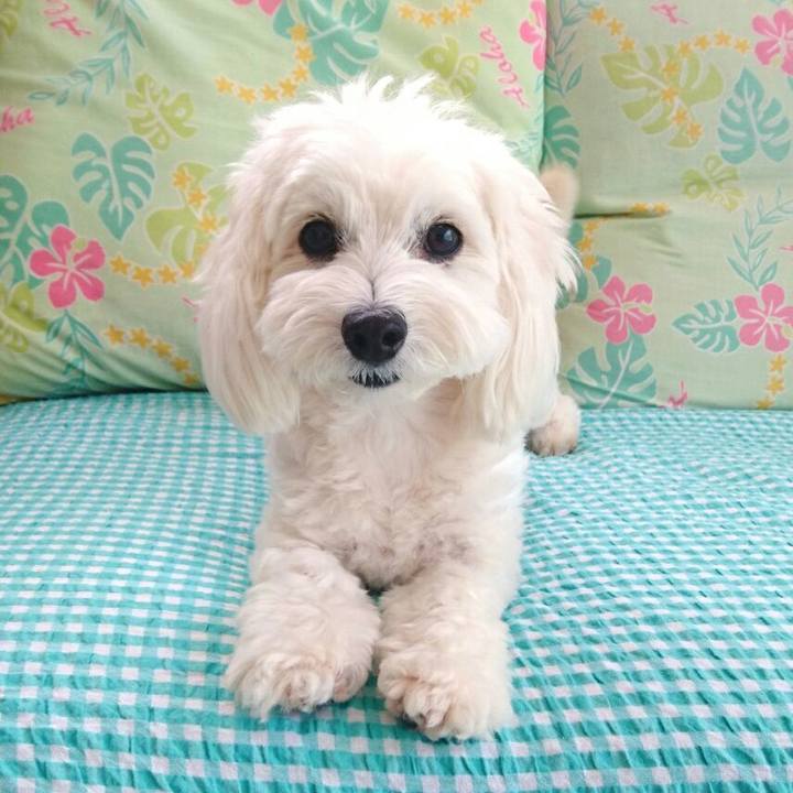 458aef51 2a4a 4a34 9215 a3d33af0c293