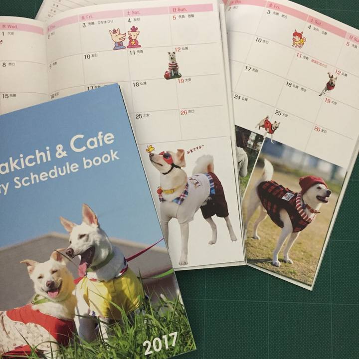 458b071c 1bd5 4de6 9e05 a451486597b6