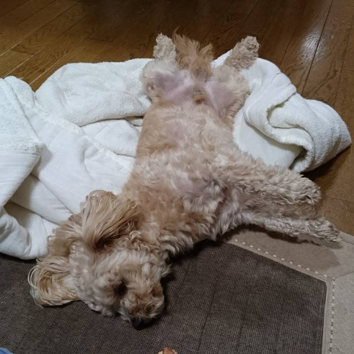 458b1917 9e09 4d7e b888 44b5c56760dc