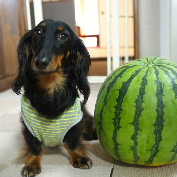 458b85ec 3546 4f43 949e c8176c6de661