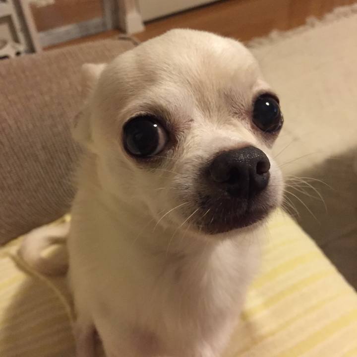 458bc7ad 0f4a 47c6 aee5 25ccafcd99aa