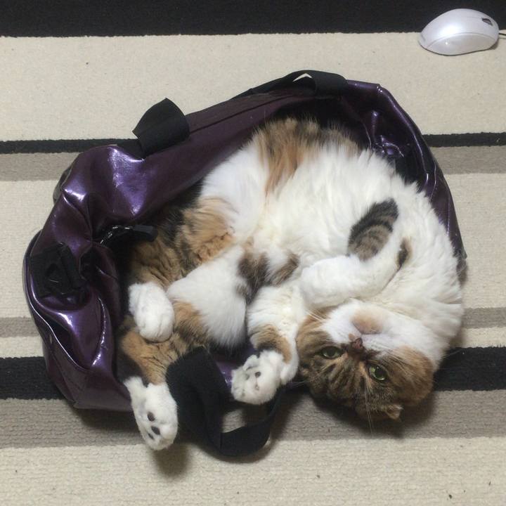 458d0060 a96e 46ab bd66 fec086a60865