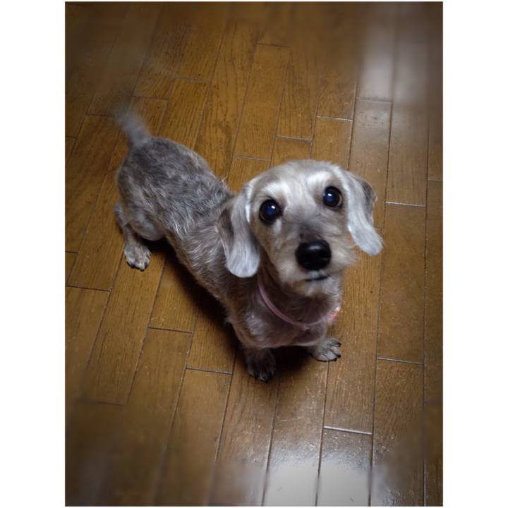 458dc75e 618d 4432 8791 8de55fcdd525