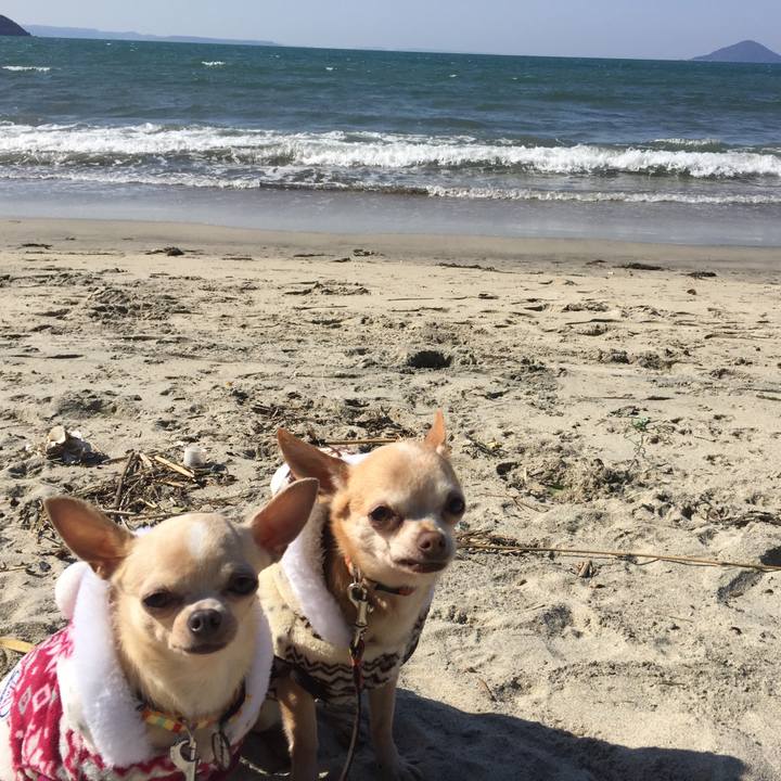 458ddf70 187b 4a5f ae12 8b4da89173ac