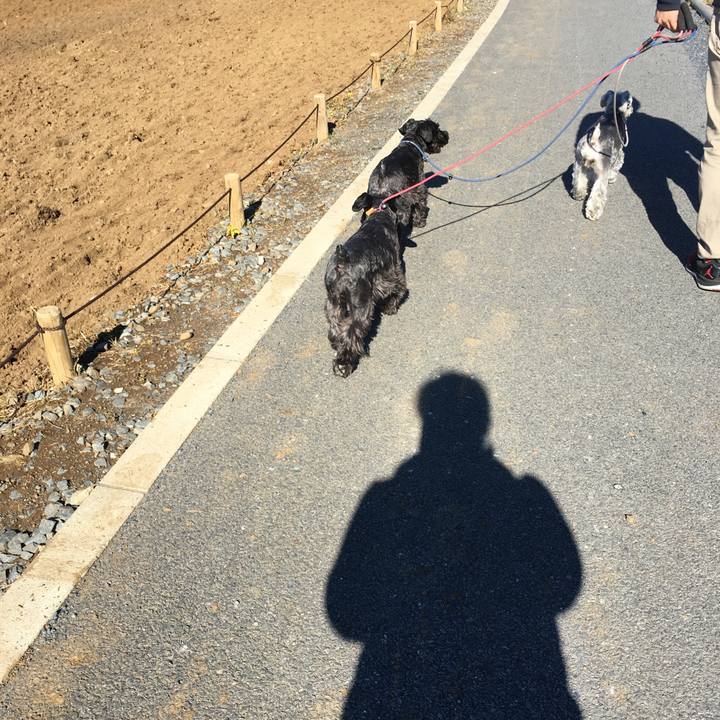 458e4d4a a23d 40d5 a6b7 e275d93e2a33