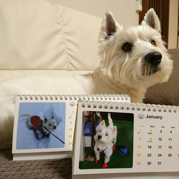 458ee909 7259 444d 8ebe 61c8b0f3de89