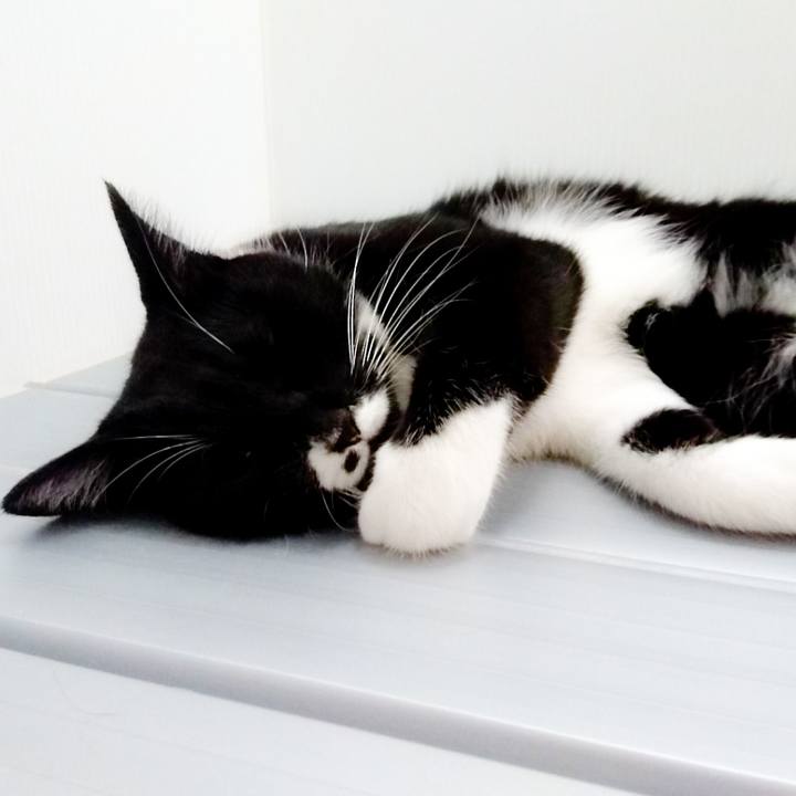 458f7a8d 56b1 4b94 909e 364aace28a71