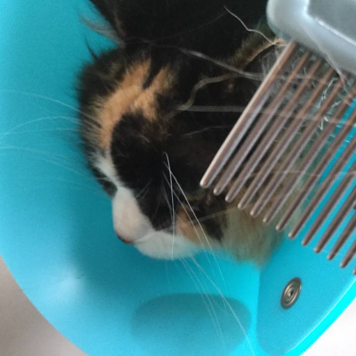 45906dd1 eabf 4ba5 8dd4 131c6029b915