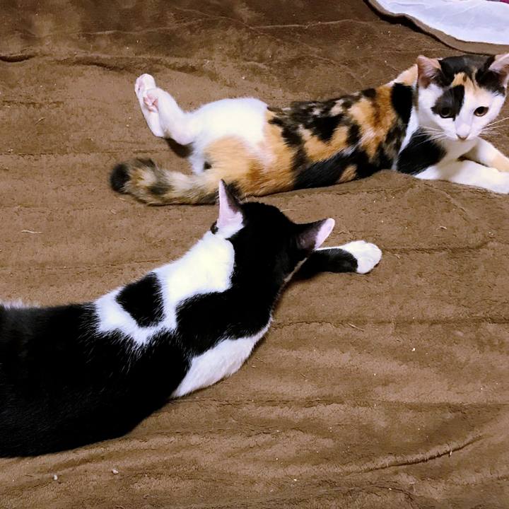 45906ec3 ff74 491c ade7 2c763e317b7d