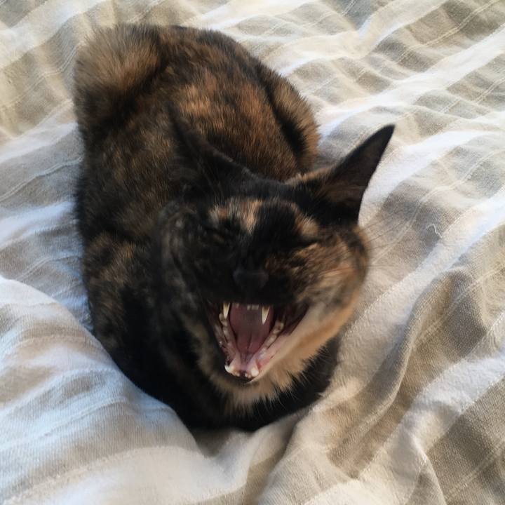 45907268 390b 478d b565 ec061e5ea6fa