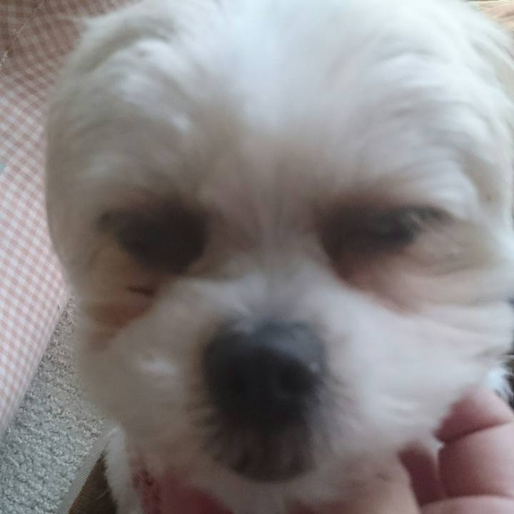 45910a64 fd90 43e9 8612 d6f27ef09968