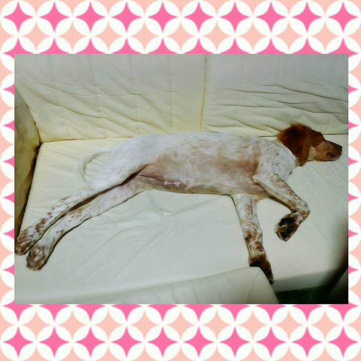 459225a9 1d66 4b6a 8d1b 6d3d64734003