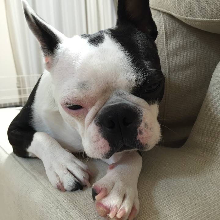 459235b3 6fd0 4f59 bef0 2618dfa6cb20