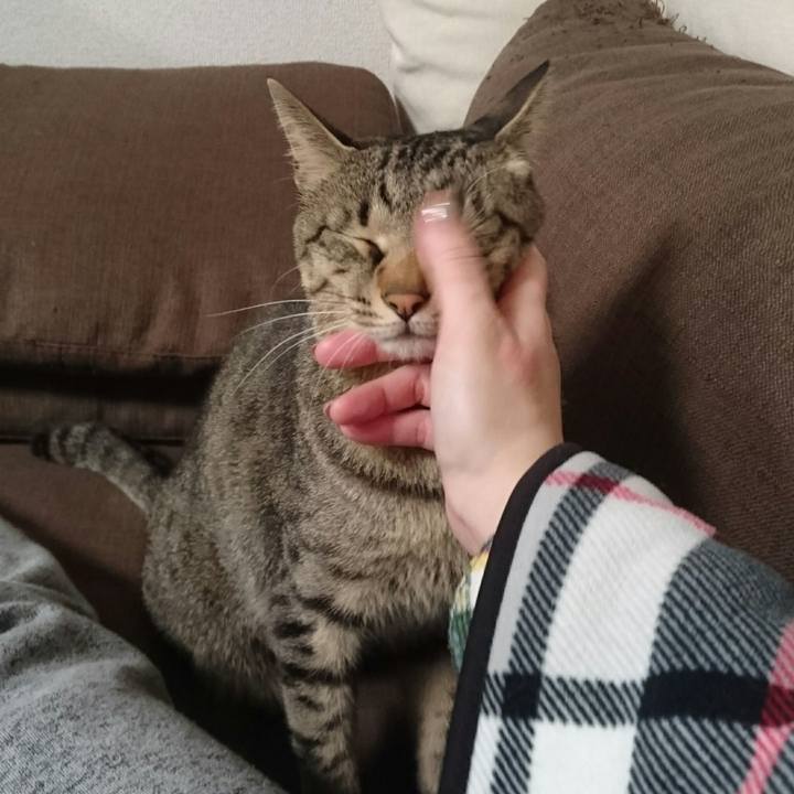 4592691c 6966 4f0f 8f42 549609452b38