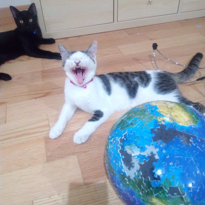 4592f80b 79f9 41ed a494 6e7f6c79560f