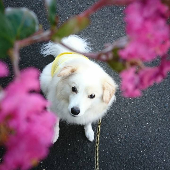 4592fc92 daeb 4430 91ae 03a3740f7276